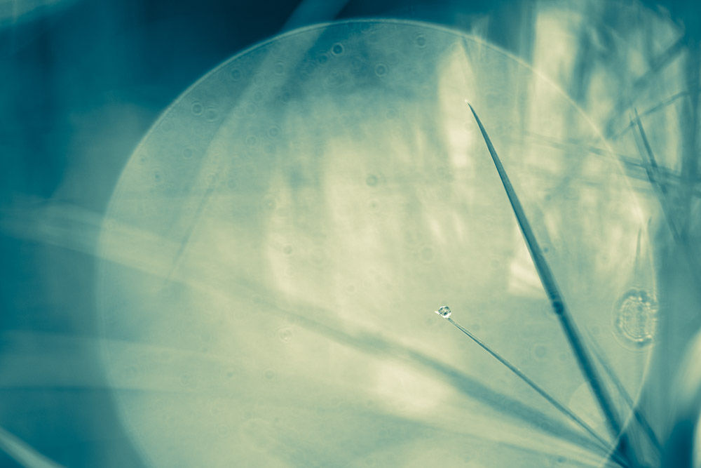 Platz 2 Robert Seitz